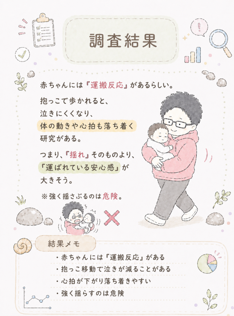 抱っこして歩くと赤ちゃんが落ち着く輸送反応を説明したイラスト